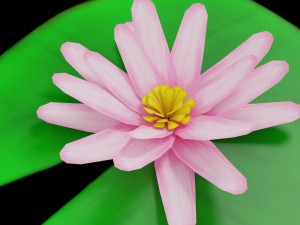 lily pad 3Dモデル