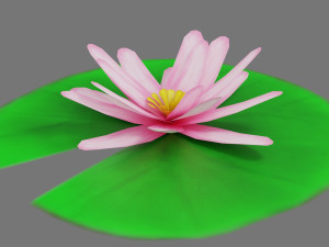 lily pad 3Dモデル
