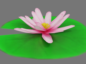 lily pad 3Dモデル