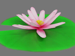 lily pad 3D Model