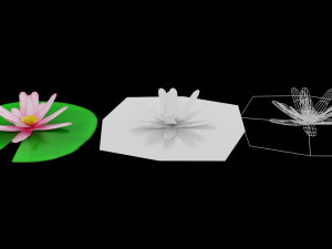 lily pad 3Dモデル