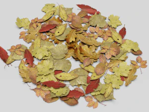 dead ground leaves pack 3D Model