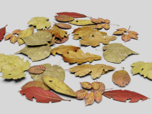dead ground leaves pack 3D 模型