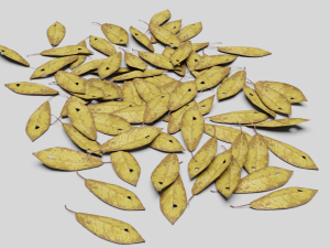 dead ground leaves pack 3D 模型
