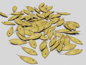 dead ground leaves pack 3D Model