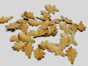 dead ground leaves pack 3D 模型