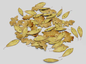 dead ground leaves pack 3D Model