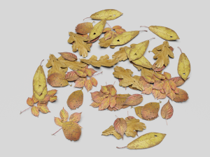 dead ground leaves pack 3D 模型