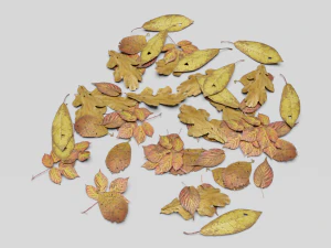 dead ground leaves pack 3D Model