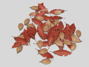 dead ground leaves pack 3D 模型