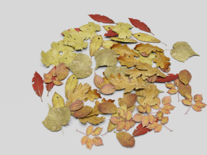 dead ground leaves pack 3D 模型