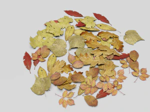 dead ground leaves pack 3D Model