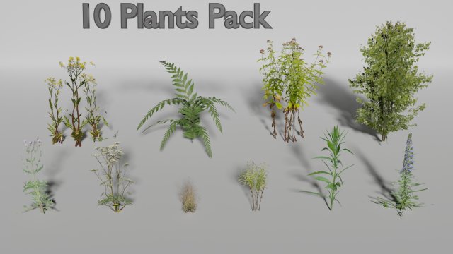 small plants pack Model 3D .c4d .max .obj .3ds .fbx .stl .blend 