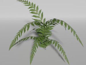 small plants pack Model 3D