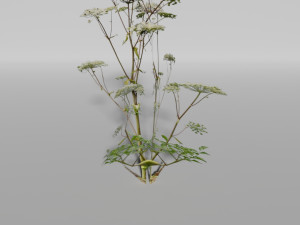 small plants pack Model 3D