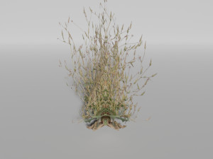 small plants pack Model 3D