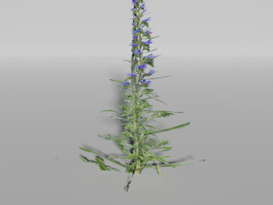small plants pack Model 3D