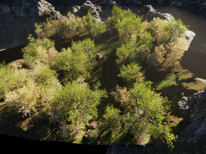 medieval pathway scene Model 3D