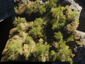 medieval pathway scene Model 3D