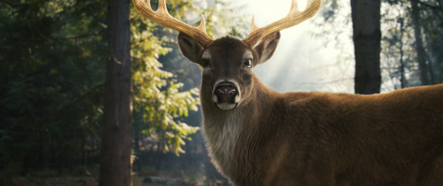 realistic deer o 3D 모델 .c4d .max .obj .3ds .fbx .stl .blend 
