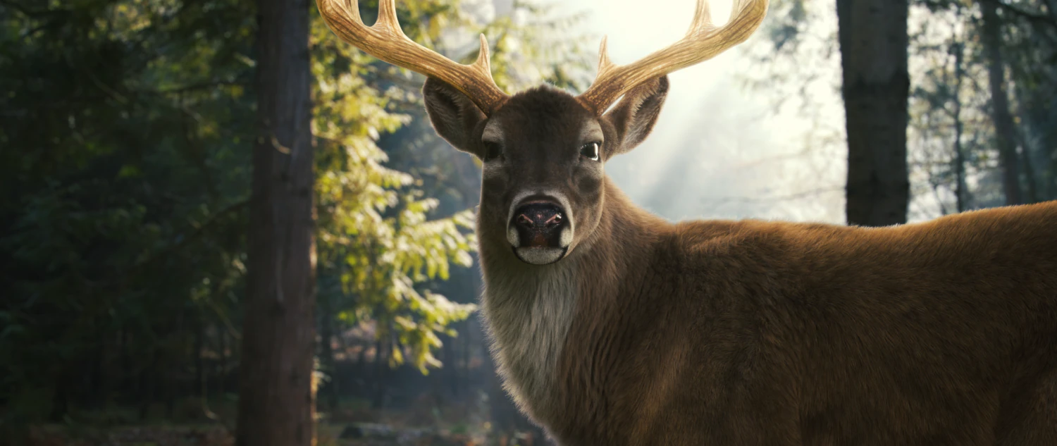 realistic deer o 3D Model .c4d .max .obj .3ds .fbx .stl .blend 