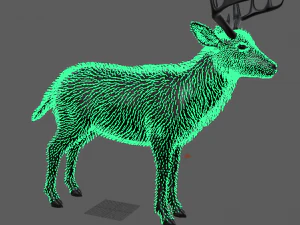 realistic deer o 3D Model