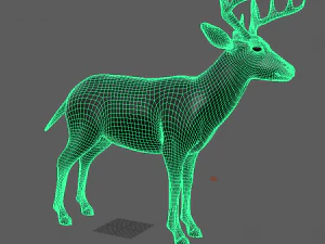 realistic deer o 3D Model