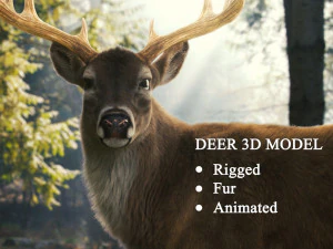 realistic deer o 3D Model