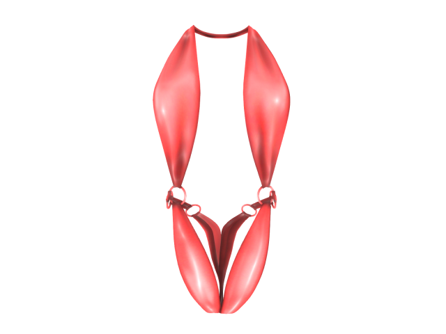 bikini on a female avatar Modelo 3D .c4d .max .obj .3ds .fbx .stl .blend 