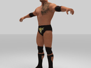 rock figther smack down Modelo 3D