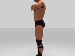 rock figther smack down Modelo 3D