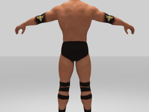 rock figther smack down Modelo 3D