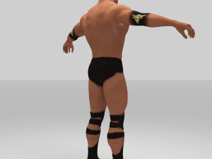 rock figther smack down Modelo 3D