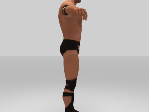 rock figther smack down Modelo 3D