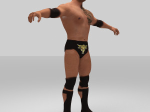 rock figther smack down Modelo 3D