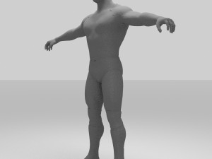 rock figther smack down Modelo 3D