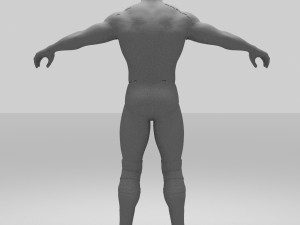 rock figther smack down Modelo 3D