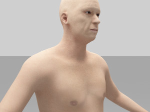 figther 3D Модель