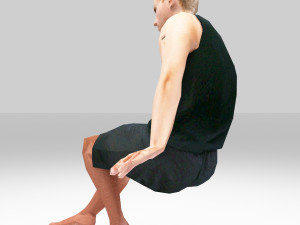 bruser Modelo 3D