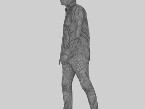 rajastan Modello 3D