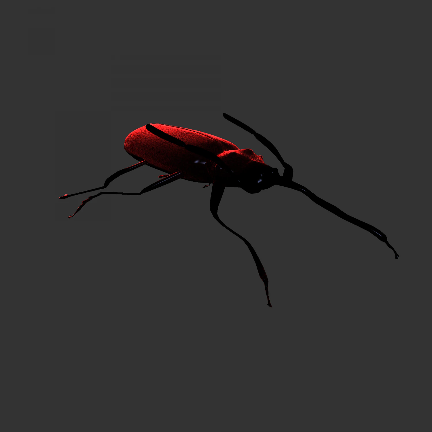 Insect Doys Thenes buquetif 3D Model .c4d .max .obj .3ds .fbx .stl .blend 