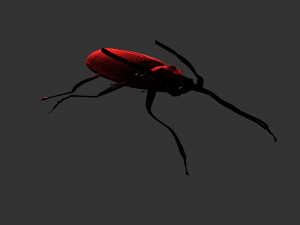 Insect Doys Thenes buquetif 3D Model
