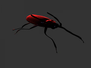 Insekten-Doys-Thenes-Buquetif 3D Modell