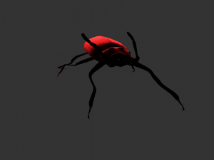 Insect Doys Thenes buquetif Modelo 3D