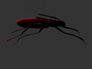 Insect Doys Thenes buquetif Modelo 3D