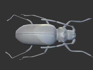 Insect Doys Thenes buquetif Modelo 3D