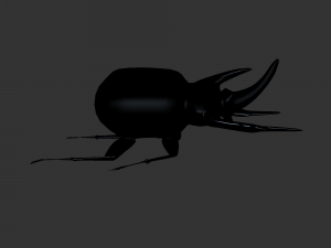 Insect Anomala Grandis 3D Model