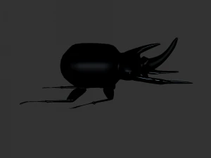 Insekt Anomala Grandis 3D Modell