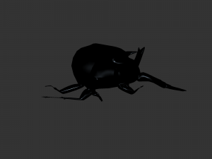 Insect Anomala Grandis Model 3D