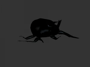 Insect Anomala Grandis 3D Model